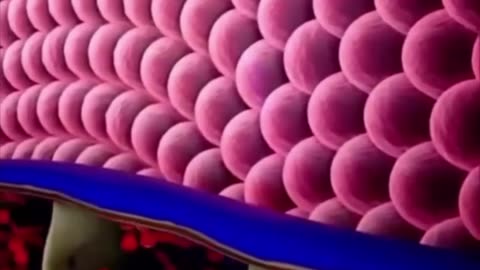 THIS FRUIT WILL SAVE YOU FROM 1000 DISEASES