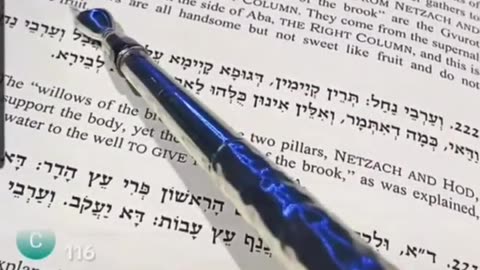 The four kinds. ZOHAR VAYECHI 26. R ALEPH 🤍