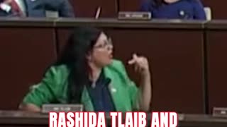 Rashida Tlaib and Byron Donalds CLASH in Heated Screaming Match
