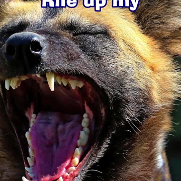 Maniac song clip #punkmetal