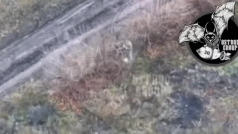 Ukraine war combat footage/related 1/10/26