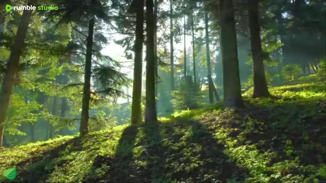Relaxing Music - Calm the Mind and Relax