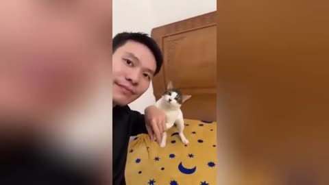 Funny pet moments