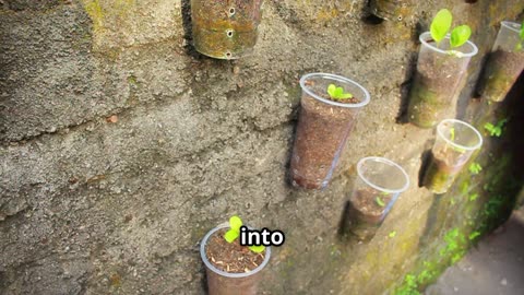 SHOEBOX Garden?! 😲 Grow AMAZING Veggies! (13 Tips!)