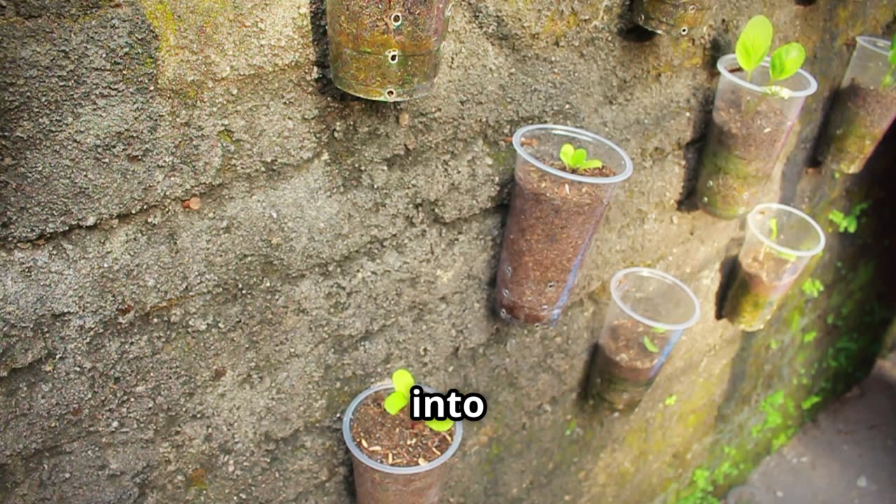 SHOEBOX Garden?! 😲 Grow AMAZING Veggies! (13 Tips!)