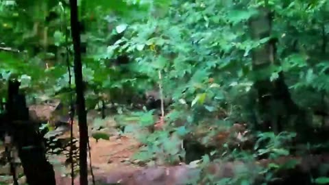 Turista intenta ingresar en una isla prohibida