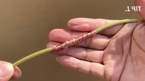 How to Properly Connect Electrical Wires: A Step-by-Step Guide 5