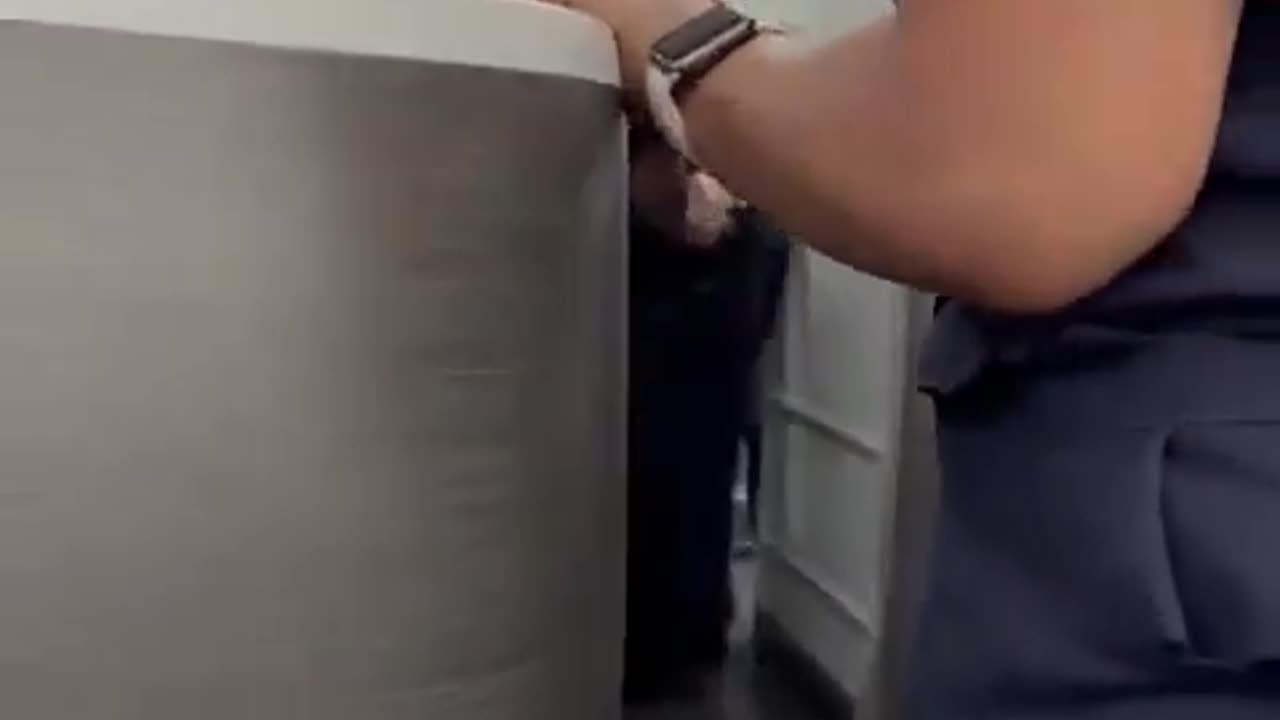 Woman tries to storm the cockpit on American Airlines NY-bound flight before being slammed