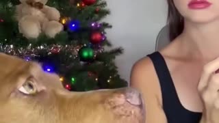 😂😂 Her Face is Priceless Every Time! | FunFM