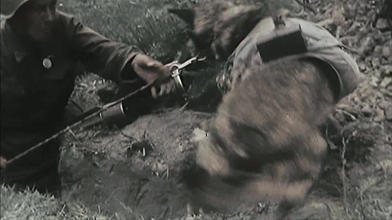 4 World Ablaze 1941-1942