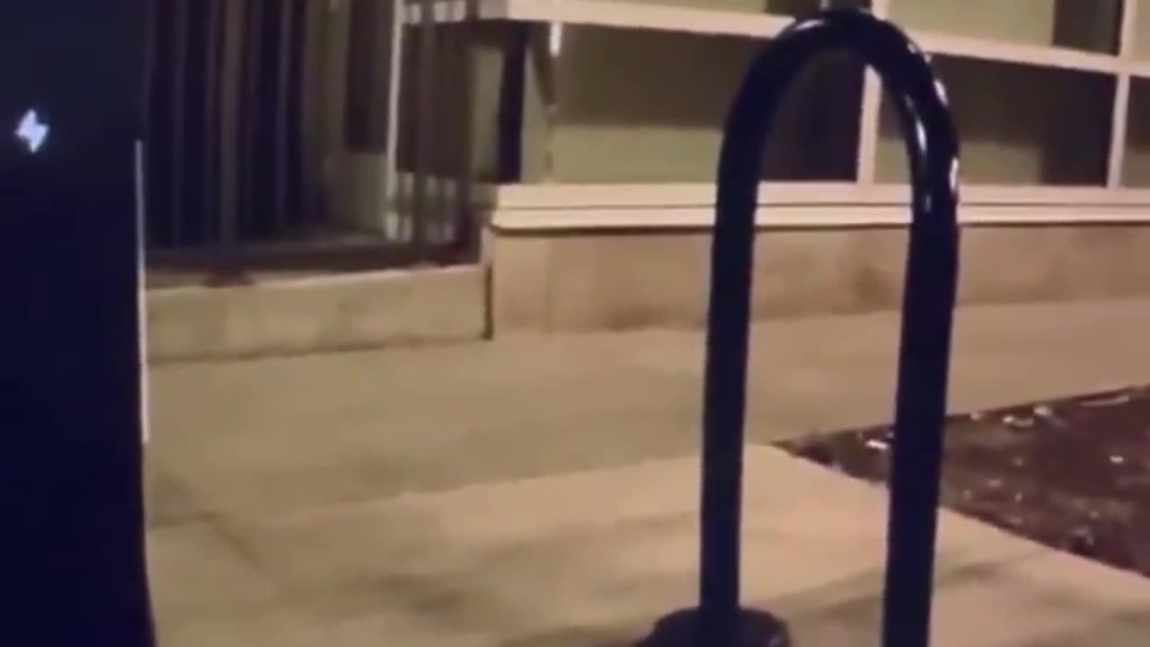 Woman in Denver, CO appears to throw a bag of dog poop at a Cybertruck