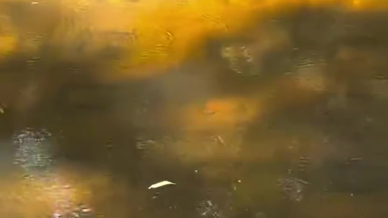 TRACES OF OLD CIVILIZATIONS UNDER OUR FEET AND UNDERWATER
