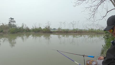 Freshwater Mussel Harvesting in Riverbeds