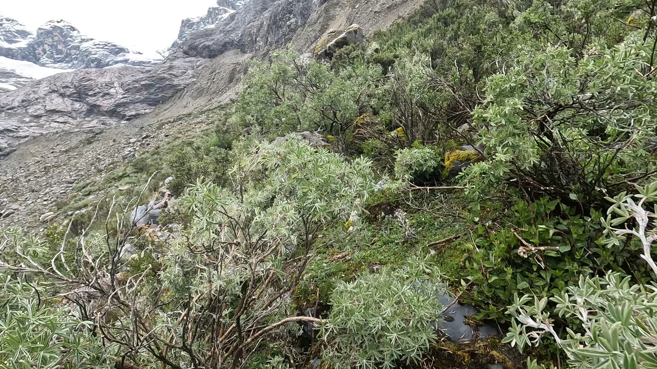 We're just going exploring today... #Huaraz #Nevado #Maparaju