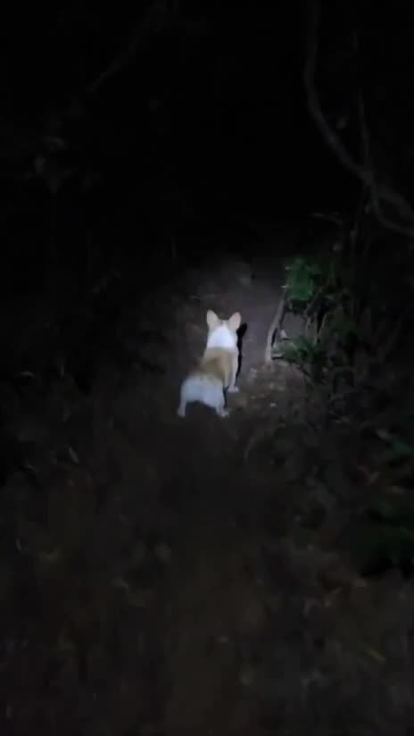 Some protector you are 🤣