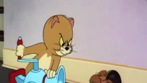 Tom and jerry cartoon