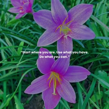 Start where you are. Use what you have. Do what you can.