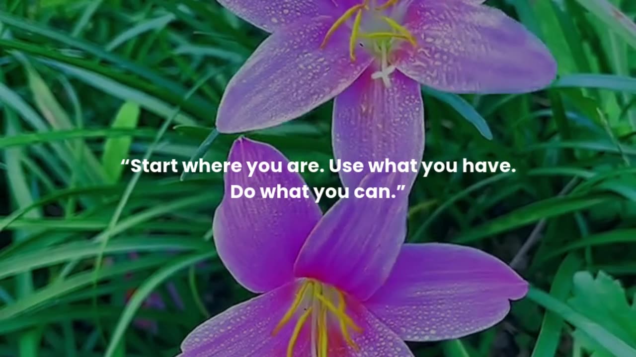 Start where you are. Use what you have. Do what you can.