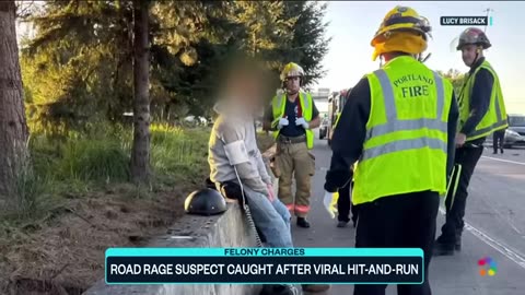 Road rage suspect caught after viral hit-and-run caught on camera