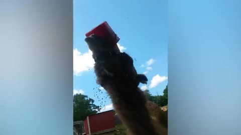 Funny Weekend At The Zoo
