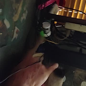 Mo MO mean lil' Fren