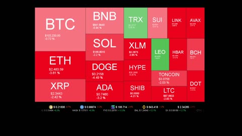 Live Coin Price Watch!