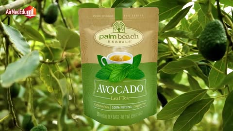 Efecto del Té de Hoja de Aguacate en el Organismo