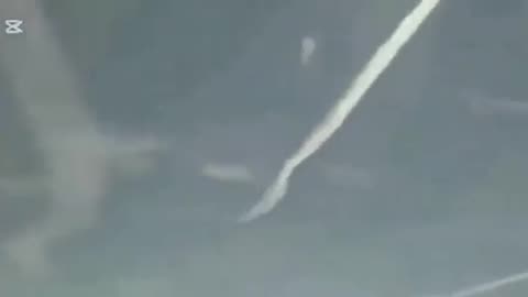 Meteorologist & former tv forecaster now Whistleblower on Chemtrails & HAARP!