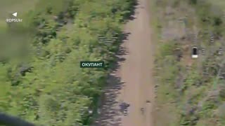 Hellish cardio for the invaders: in the Donetsk region, the Phoenix border guards effectively