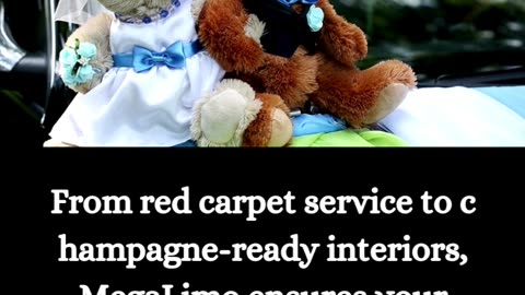 MegaLimo Chicago – The Best Wedding Limousine Experience