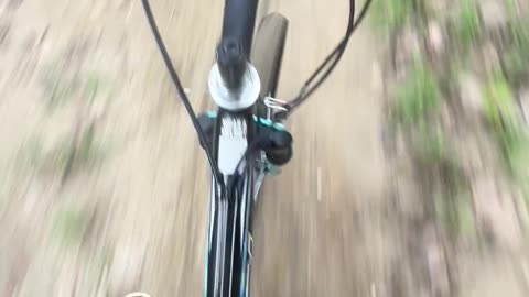 Crashed Girlfriend's Walmart Bike in Walmart Dress Shoes