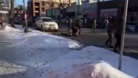 Welcome to Palestine in America