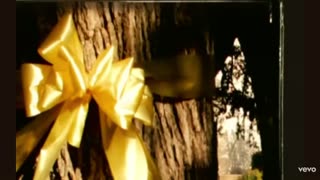 Merle Haggard - America First