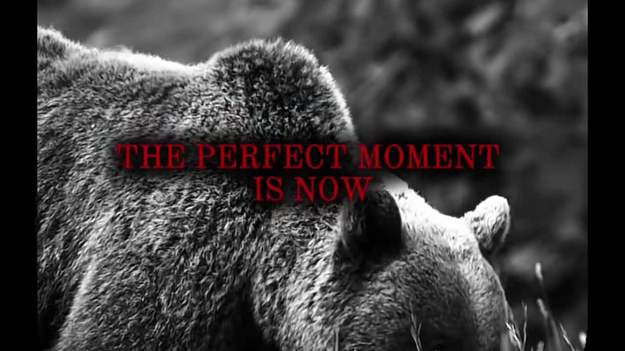 🔥 STOP WAITING FOR THE "PERFECT MOMENT"—IT’S NOW