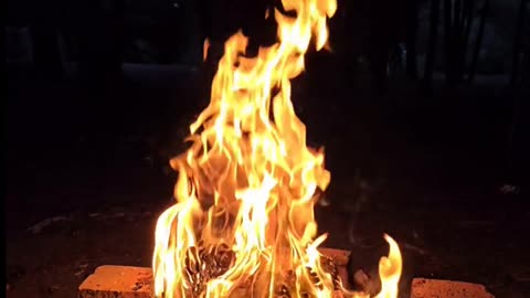 Daily Horoscope | Aries 🌟