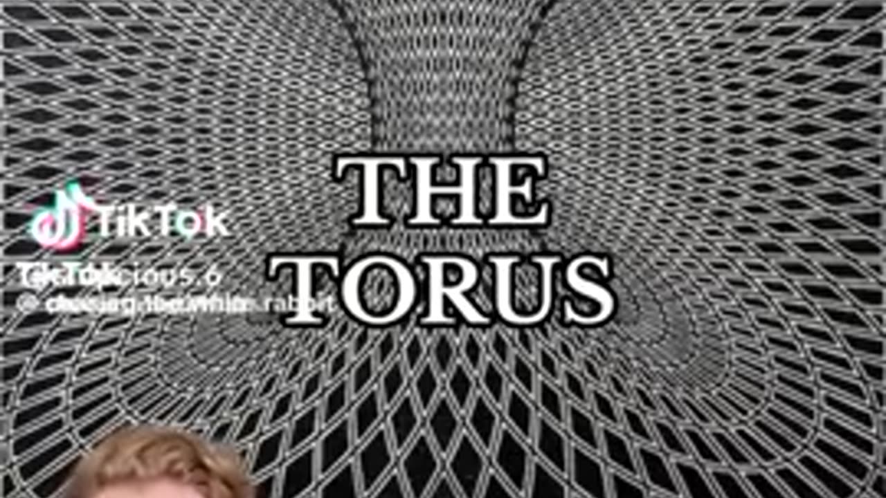 The Torus Field - Biblical Earth
