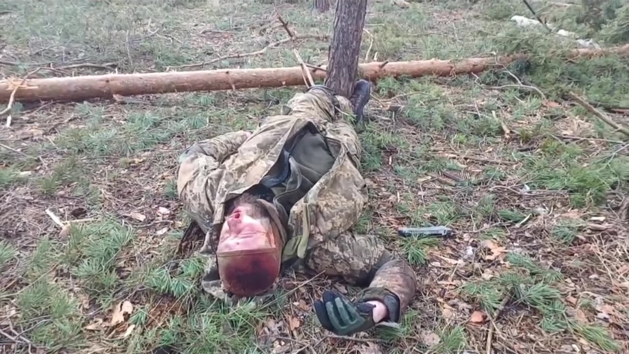 War in ukraine