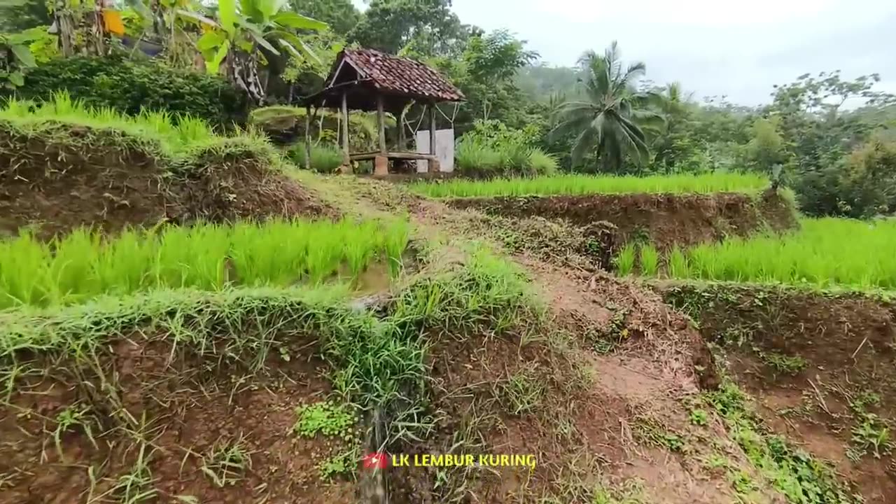 Surga Di Pegunungan Jawa Barat