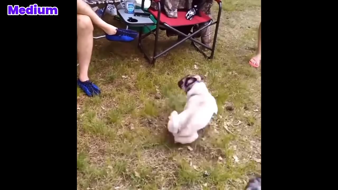 Try not to Laugh! (Impossible!) | You Laugh, You Lose❌😂