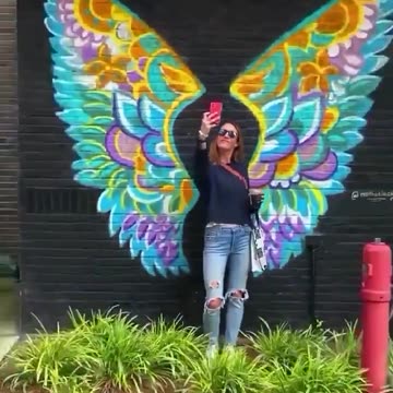 The bird stole the show.. 😂