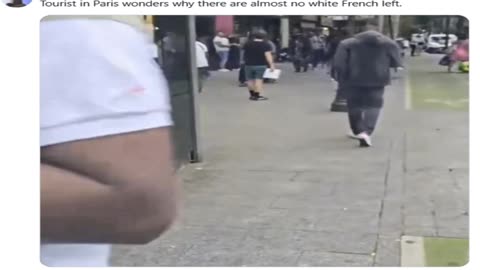 Paris 1% White