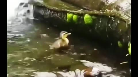 Your Life Is in Your Hands