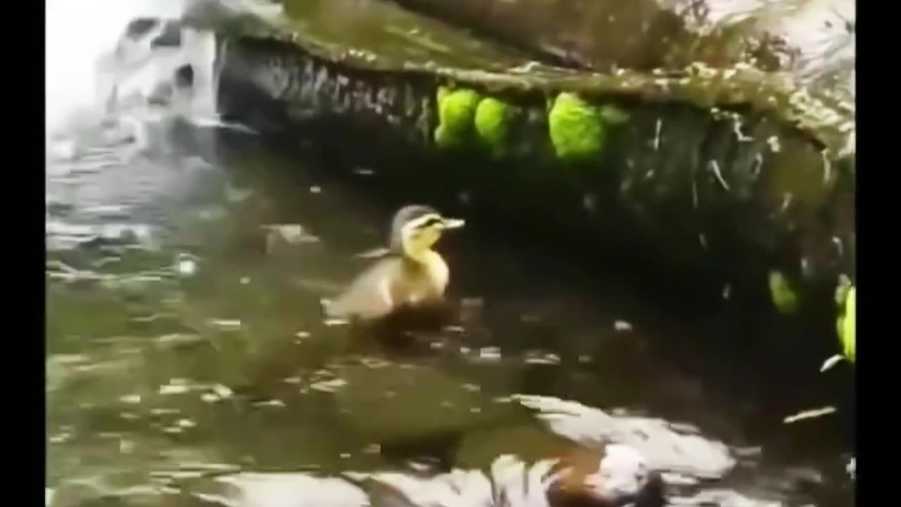 Your Life Is in Your Hands