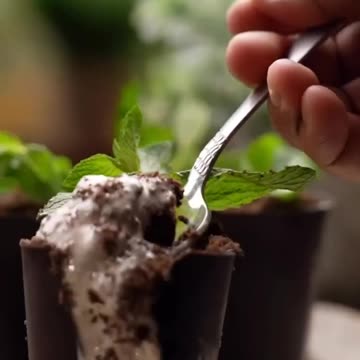 Chocolate Plant Pot Dessert | Fun, Edible & Totally Instagram-Worthy!