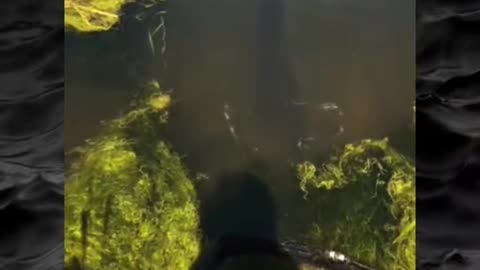 😱💀 Creepy Paranormal Activity Caught on Camera! | TheHauntingHour