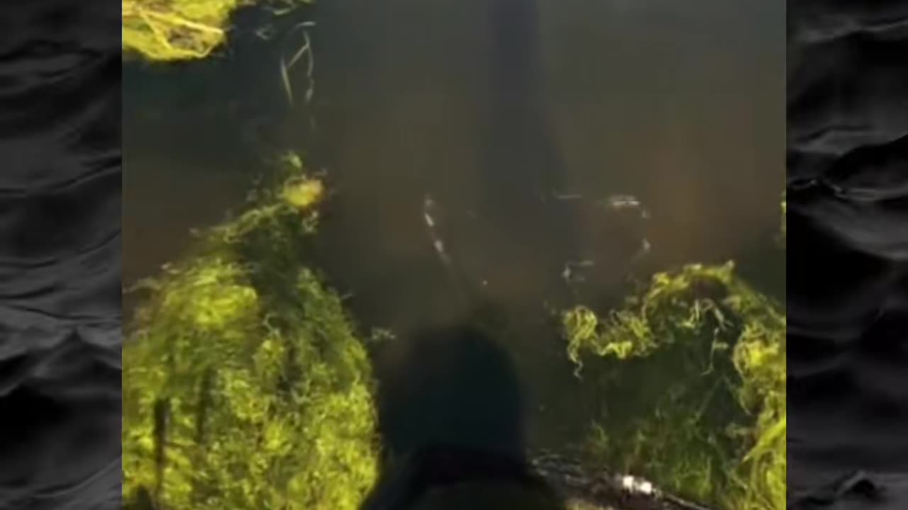 😱💀 Creepy Paranormal Activity Caught on Camera! | TheHauntingHour