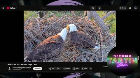 America First Means Money To Argentina While Americans Suffer