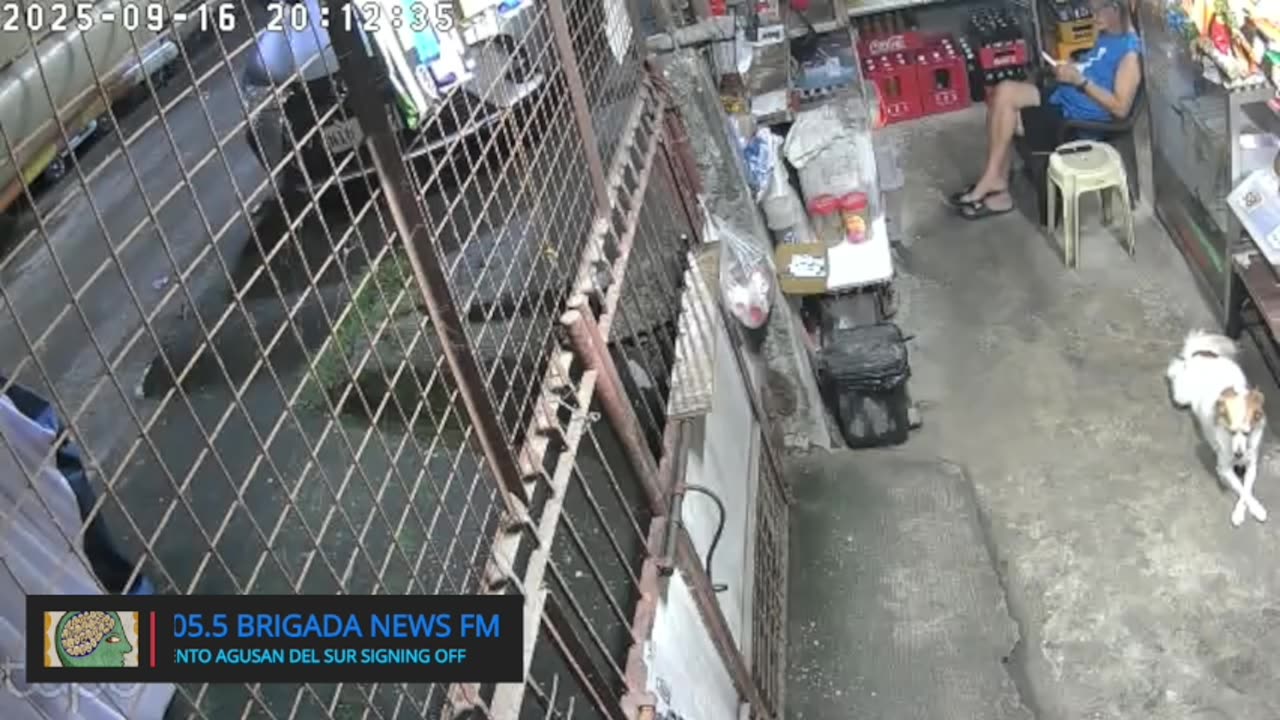 Mitsubishi Xpander 2019 Live