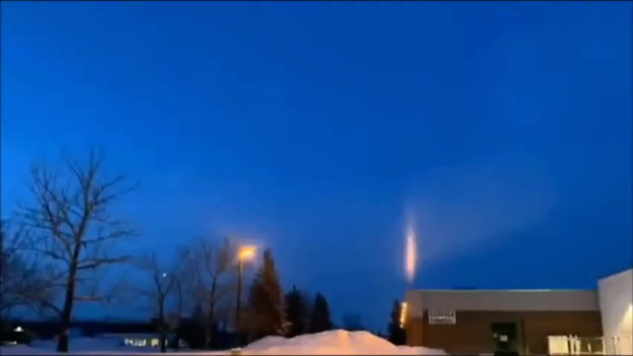 Qu'est-il arrivé à cet arbre ? Il a probablement décidé de déménager dans un autre quartier