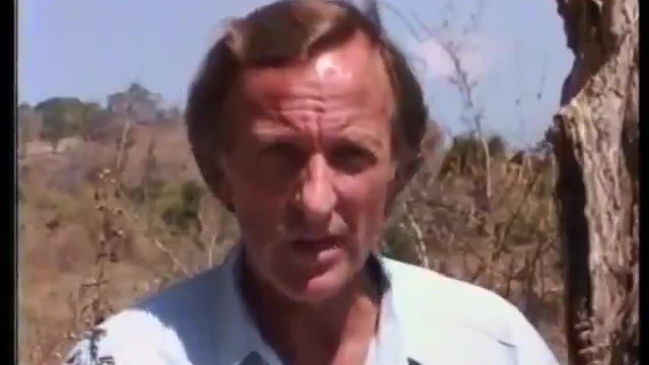 Death of a Nation The Timor Conspiracy (1994)